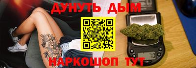 прущие грибы Будённовск