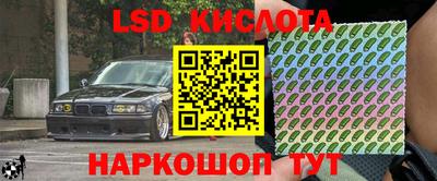 прущие грибы Будённовск