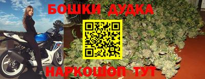 прущие грибы Будённовск