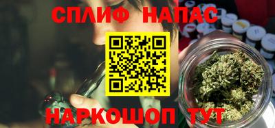 прущие грибы Будённовск