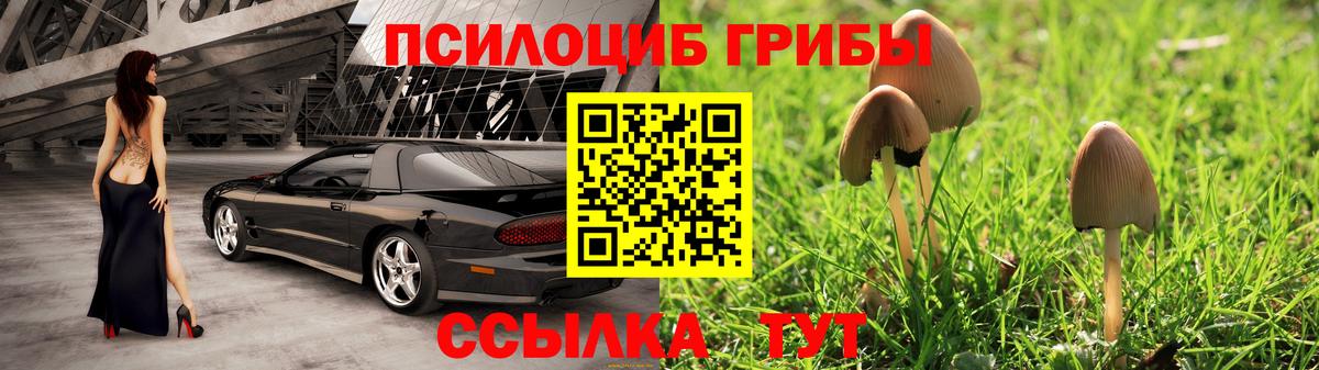где можно купить   Вход с VPN  Усть-Лабинск  Псилоцибиновые грибы ЛСД  Галлюциногенные грибы мицелий 