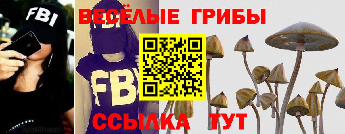 Псилоцибиновые грибы Cubensis Усть-Лабинск